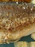 Dourada grelhada