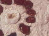 معصوب 😋