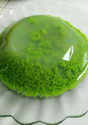 Foto resep Puding lumut ala momy rakha