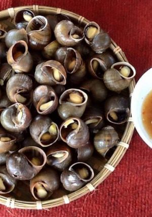 Hình của món Ốc Bưu Hấp Chấm mắm gừng.