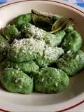 Gnudi