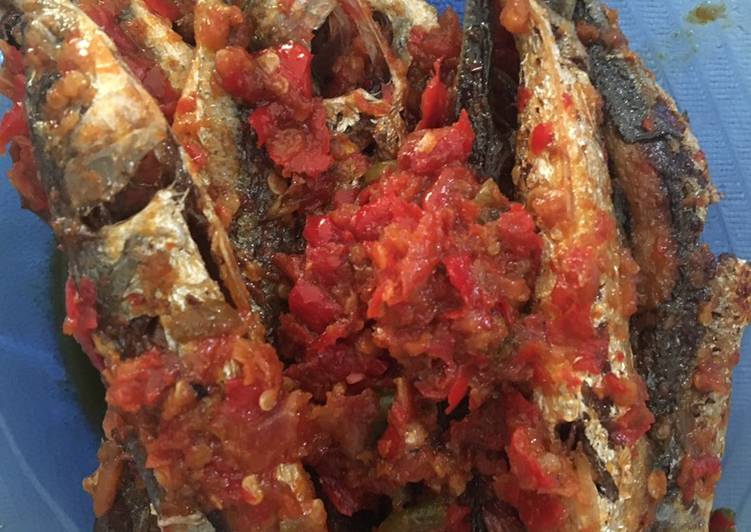 Resep Ikan dencis sambal giling yang Lezat