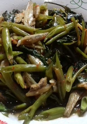 Foto resep Tumis kangkung teri kecap