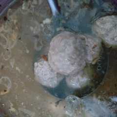 รูปของ Kuah bakso