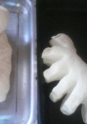 Una foto de Pan casero Cañón y Rosca