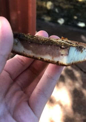 Una foto de Bizcochuelo de yogurt marmolado