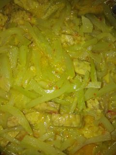 Foto resep Sayur labu Siam tempe kuah santan