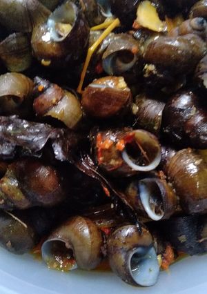Foto resep Tutut bumbu kuning