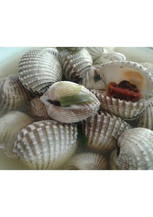 Foto resep Kerang Rebus