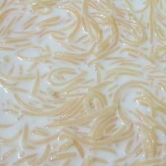 Simple milk Wali Saviyan A picture of Simple milk Wali Saviyan.