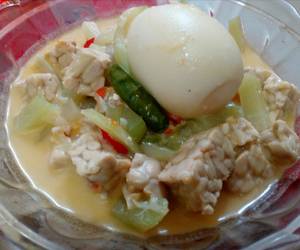 Resep Unik Lodeh Manisa (Labu Siam) dan Tempe Ala Rumahan