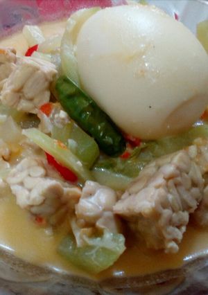 Foto resep Lodeh Manisa (Labu Siam) dan Tempe