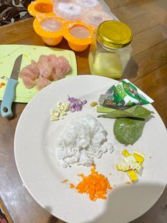 Foto resep Mpasi 6+month. Bubur opor ayam anti gtm✨