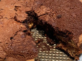 Brookie