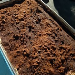 A picture of Tiramisu with biscuits.