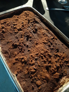 A picture of Tiramisu with biscuits.