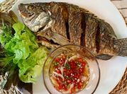 A picture of tilapia sauces