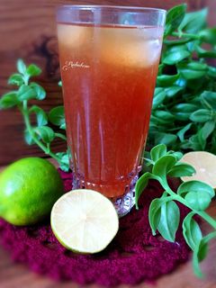 عکسی از دستور آیس تی لیمو