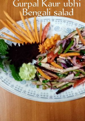 A picture of Bengali salad 🥗🧅🥕🍅🌶️🥒.