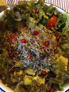 Una foto de Ensalada otoñal con granada y brotes de lombarda
