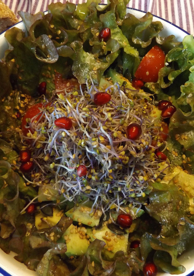 Una foto de Ensalada otoñal con granada y brotes de lombarda
