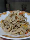 Tumis simping jamur tiram endulita