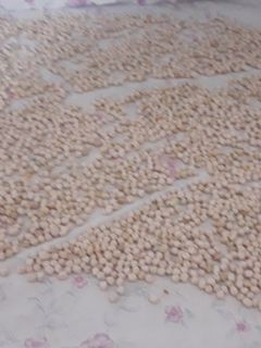 عکسی از دستور نگهداری حبوبات