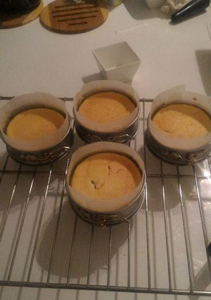 Foto resep Cheesecake lembut dan cheesy