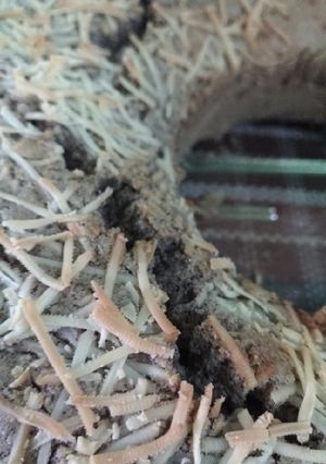 Foto resep Bolu ketan hitam panggang irit telur
