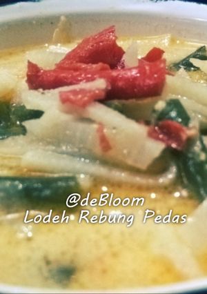 Foto resep 127. Lodeh Rebung Pedas