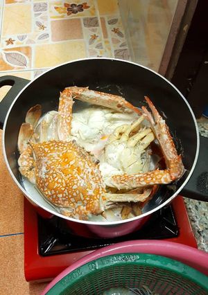 รูปของ ปู กุ้ง หมึก ต้ม
