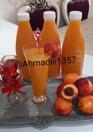 عکسی از دستور رانی شلیل