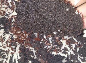 Foto resep Brownis kukus goriorio