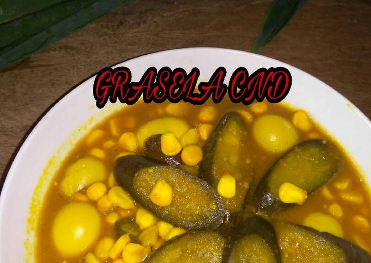 Resep Terong Telur Kuah Kuning oleh Grasela Cnd - Cookpad