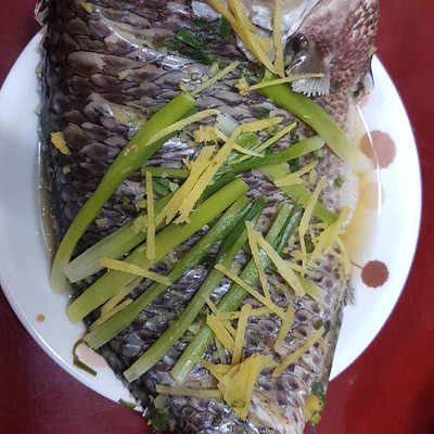 Giá Cả Hợp Lý