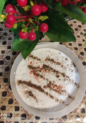 A picture of Bottle gourd raita.