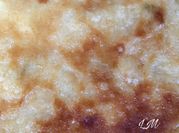 Una foto de pastel de puerro