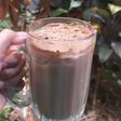 MILO DINOSAUR / es susu milo