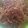 ENOKI GORENG anti gagal dan PRAKTIS Banget