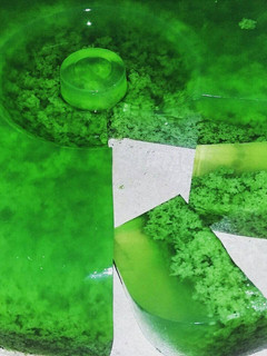 Foto resep Puding Lumut Aroma Hmm