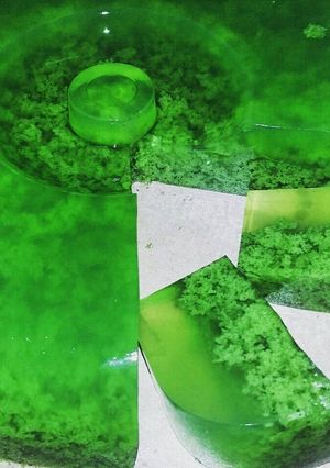 Foto resep Puding Lumut Aroma Hmm