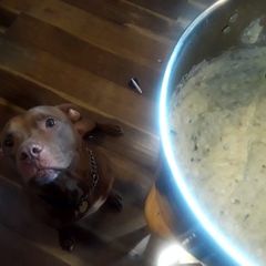A picture of Perfect scratch easy make taters.