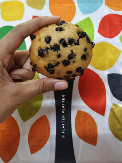 A picture of Chocolate Chip Banana Cookie.