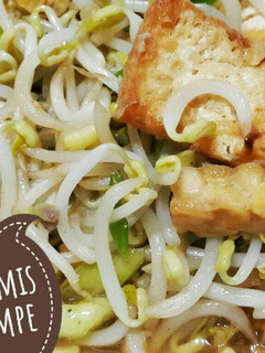 Foto resep Tauge Tumis Tahu Tempe