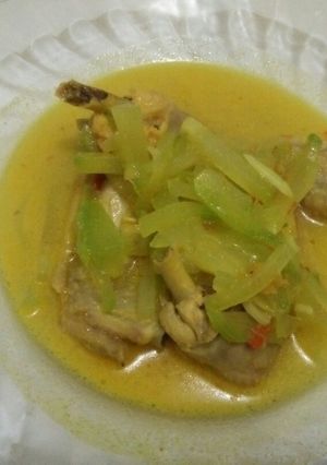 Foto resep Sayur lodeh Jepang & Ayam
