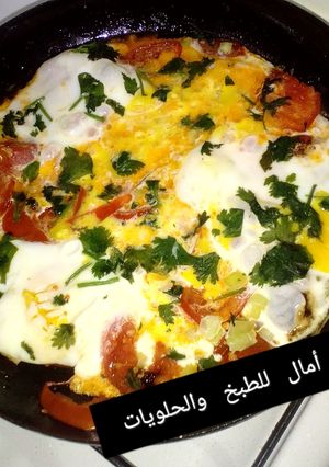 صورة لوصفة طماطم مقلية بالبيض 😋😋😋 لذة روعة