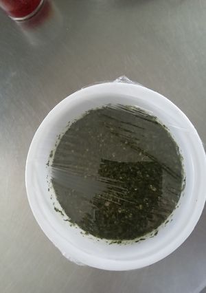 A picture of Molokhia plan.