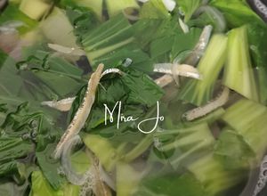 Gambar Sayur Bening (sup sayur mak)