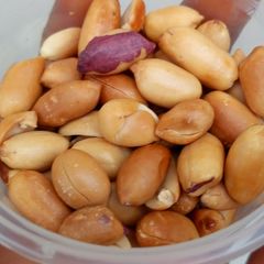 A picture of Toasted Peanut.
