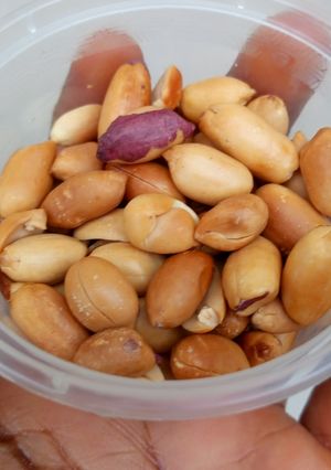 A picture of Toasted Peanut.